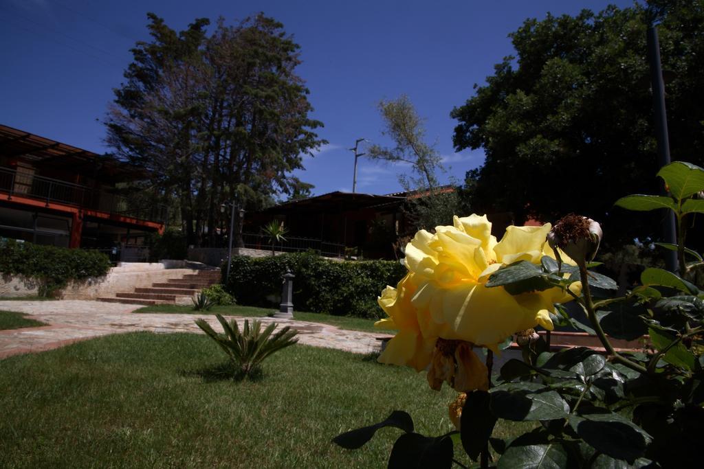Residenza Mediterranea Zambrone Eksteriør bilde